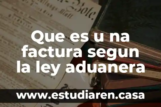 Que es u na factura segun la ley aduanera