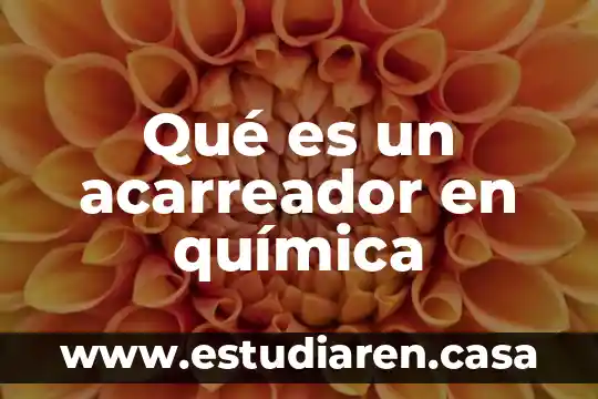 Qué es un acarreador en química