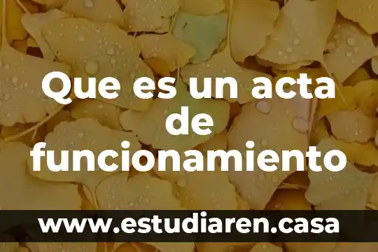 Que es un acta de funcionamiento