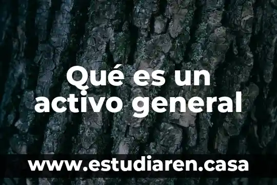Qué es un activo general