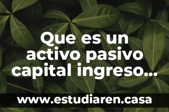 Que es un activo pasivo capital ingreso y costo