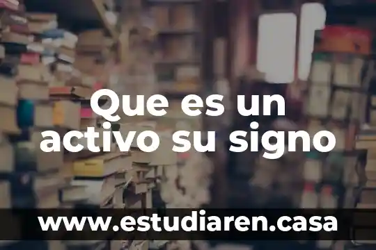 Que es un activo su signo