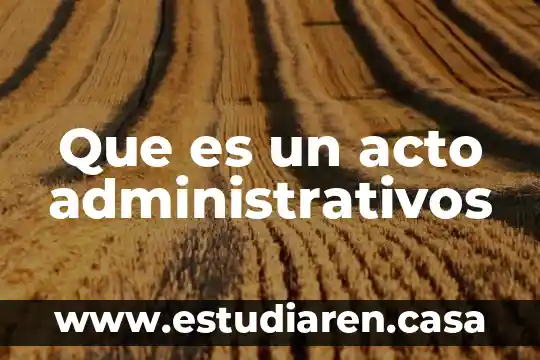 Que es un acto administrativos