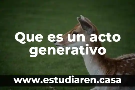 Que es diseño generativo 5 Que es un acto generativo