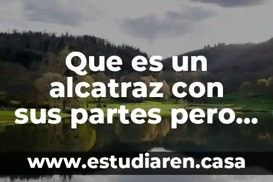 Qué es el periodico y partes del periodico 8 Que es un alcatraz con sus partes pero que señales