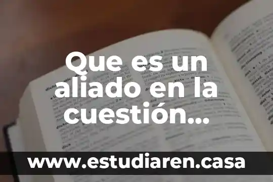 Que es un termino en cuestion de definicion 3 Que es un aliado en la cuestión politica