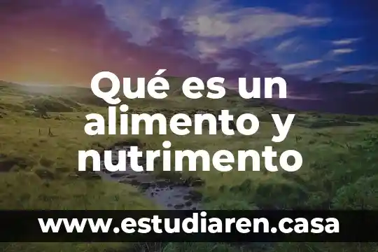 Para que es necesario saber el gramage de un alimento 6 Qué es un alimento y nutrimento