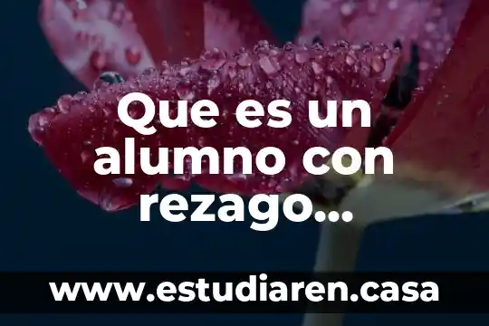 Que es un rezago social 4 Que es un alumno con rezago educativo y discapacidad