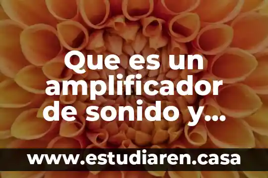 Tusimo de masas que es 5 Que es un amplificador de sonido y para que sirve