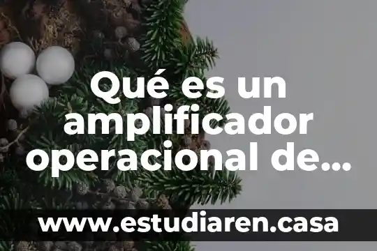Que es el ayuno segun isaias 3 Qué es un amplificador operacional de ganancia programable