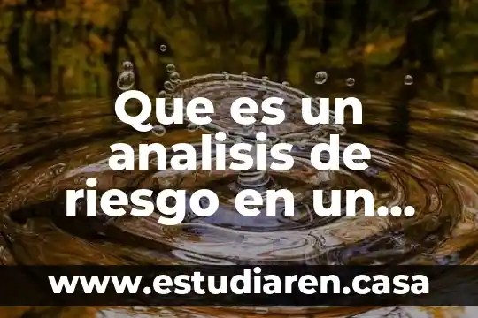 Que es un analisis de riesgo en un software