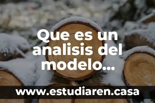 Que es un analisis del modelo organizacional con autor