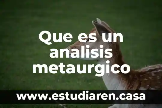 Que es la sistematica de analisis funcional 8 Que es un analisis metaurgico
