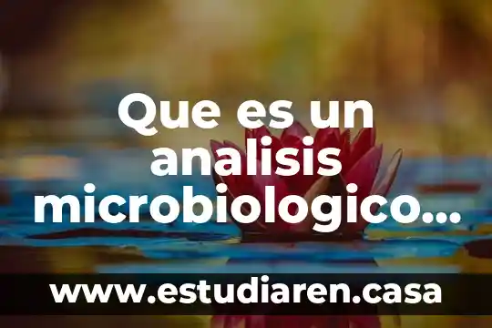 Que es la garantia mercado libre 8 Que es un analisis microbiologico de alimentos
