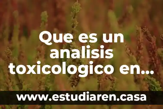 Que es radiacion en alimentos 6 Que es un analisis toxicologico en los alimentos codex