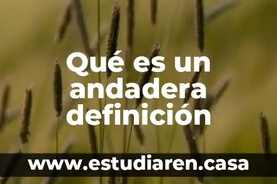 Que es un intersexual definicion 7 Qué es un andadera definición
