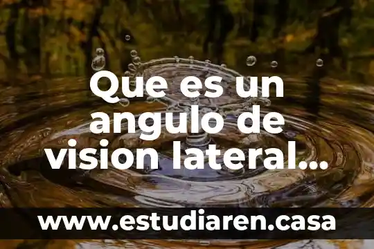 Que es un angulo de vision lateral derecho