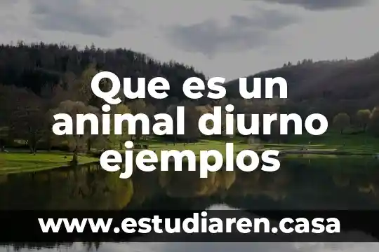 Que es un animal diurno ejemplos