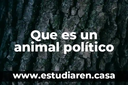 Que es un animal político