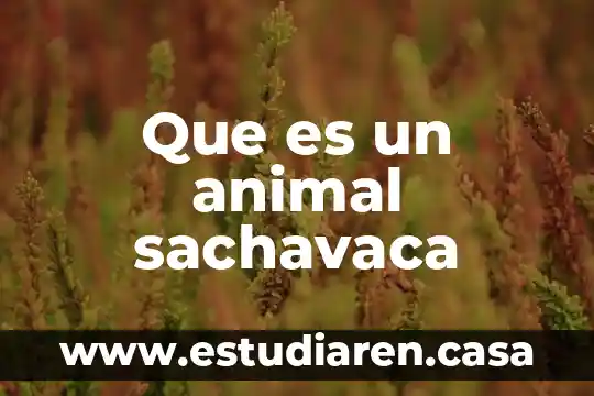 Que es un animal sachavaca