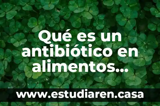 Que es un hidrocoloide en alimentos 3 Qué es un antibiótico en alimentos tienen