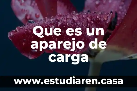 Que es un aparejo de carga