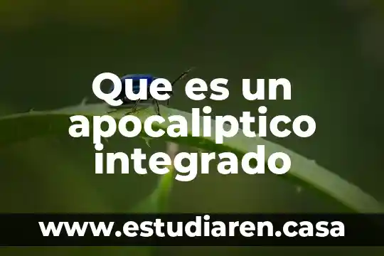 Que es un doctorado integrado 3 Que es un apocaliptico integrado