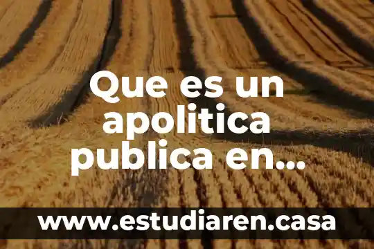 Que es una fronera social 5 Que es un apolitica publica en trabajo social