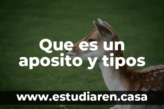 Que es un aposito y tipos