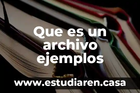 Qué es criterio y ejemplos 5 Que es un archivo ejemplos