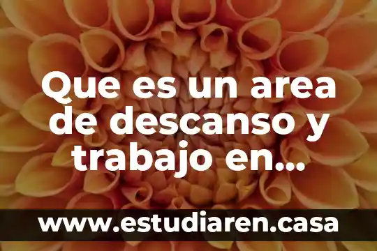 Que es un area de descanso y trabajo en universidades