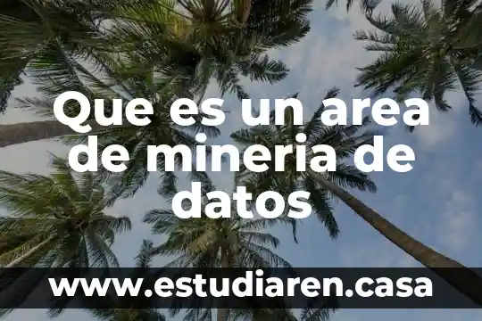 Que es un area de mineria de datos