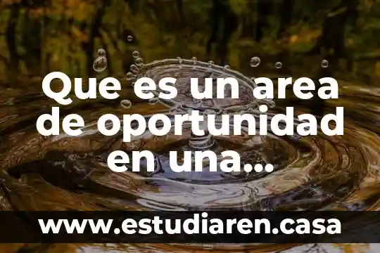 Solo piensa que es una buena oportunidad para mejorar 8 Que es un area de oportunidad en una empresa