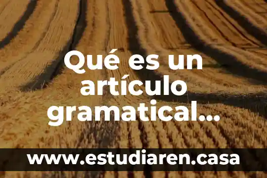 Que es el tiempo gramatical pos preterito 5 Qué es un artículo gramatical ejemples