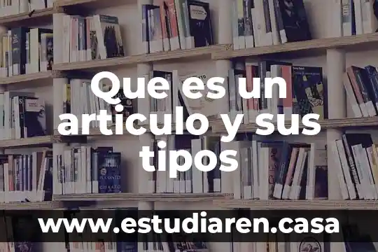 Que es un articulo y sus tipos