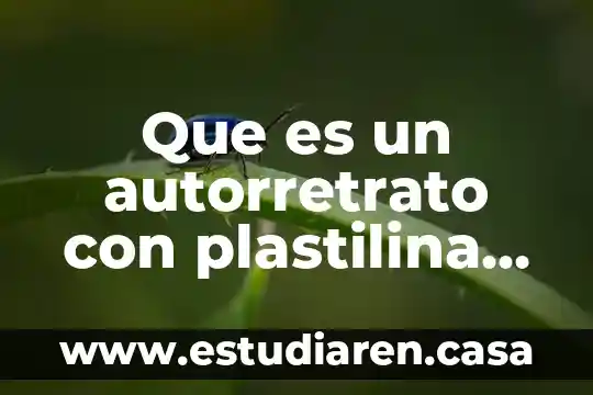 Que es un autorretrato con plastilina para niños