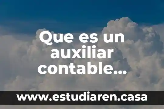 Que es una presentacion en un documento 3 Que es un auxiliar contable documento