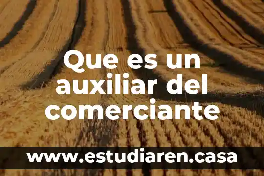 Articulo que fundamenta que es un comerciante 3 Que es un auxiliar del comerciante