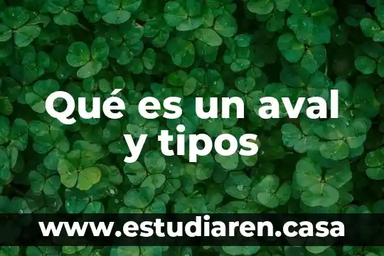 Qué es un aval y tipos