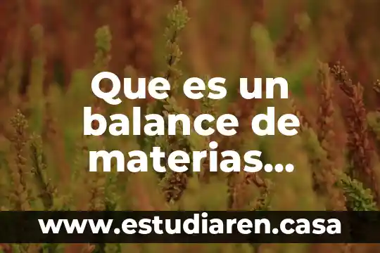 Que es la revadilacion de materias 5 Que es un balance de materias primas