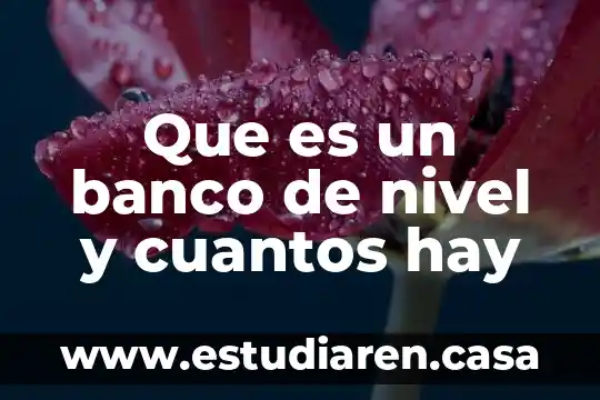 Que es un banco de nivel y cuantos hay