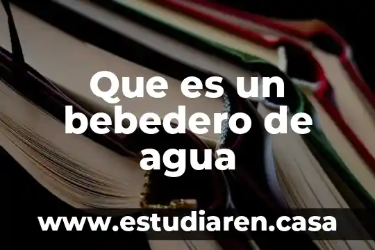 Que es un bebedero de agua