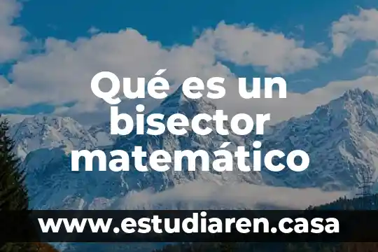 Que es modelaje matematico 8 Qué es un bisector matemático
