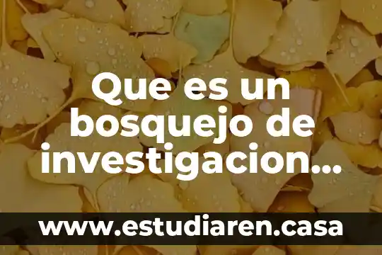 Que es un discurso directo y anota un ejemplo 6 Que es un bosquejo de investigacion ejemplo