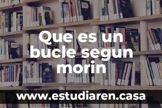 Que es un bucle segun morin