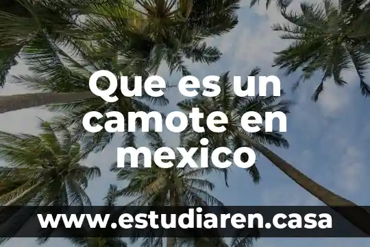 Qué es la identidad nacional de México 7 Que es un camote en mexico