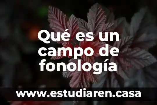Que es reclutar en campo 8 Qué es un campo de fonología