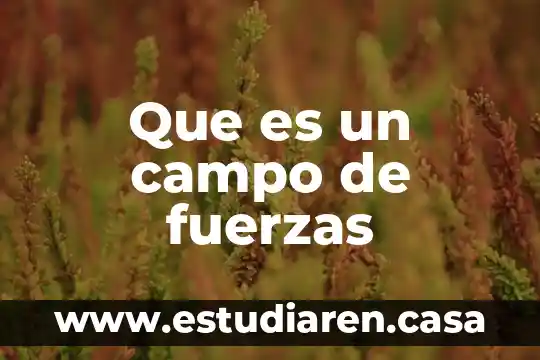 Que es un campo de fuerzas