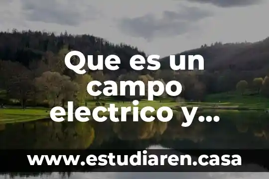Que es un campo electrico y cuales son sus caracteristicas