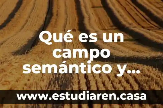 Que es una contribucion y sus elementos 8 Qué es un campo semántico y qué elementos tiene